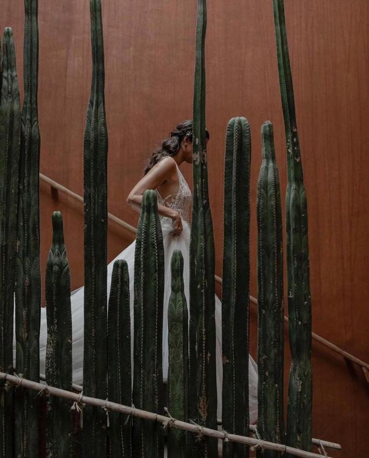 Отель Casa Carmen Reforma Oaxaca Экстерьер фото