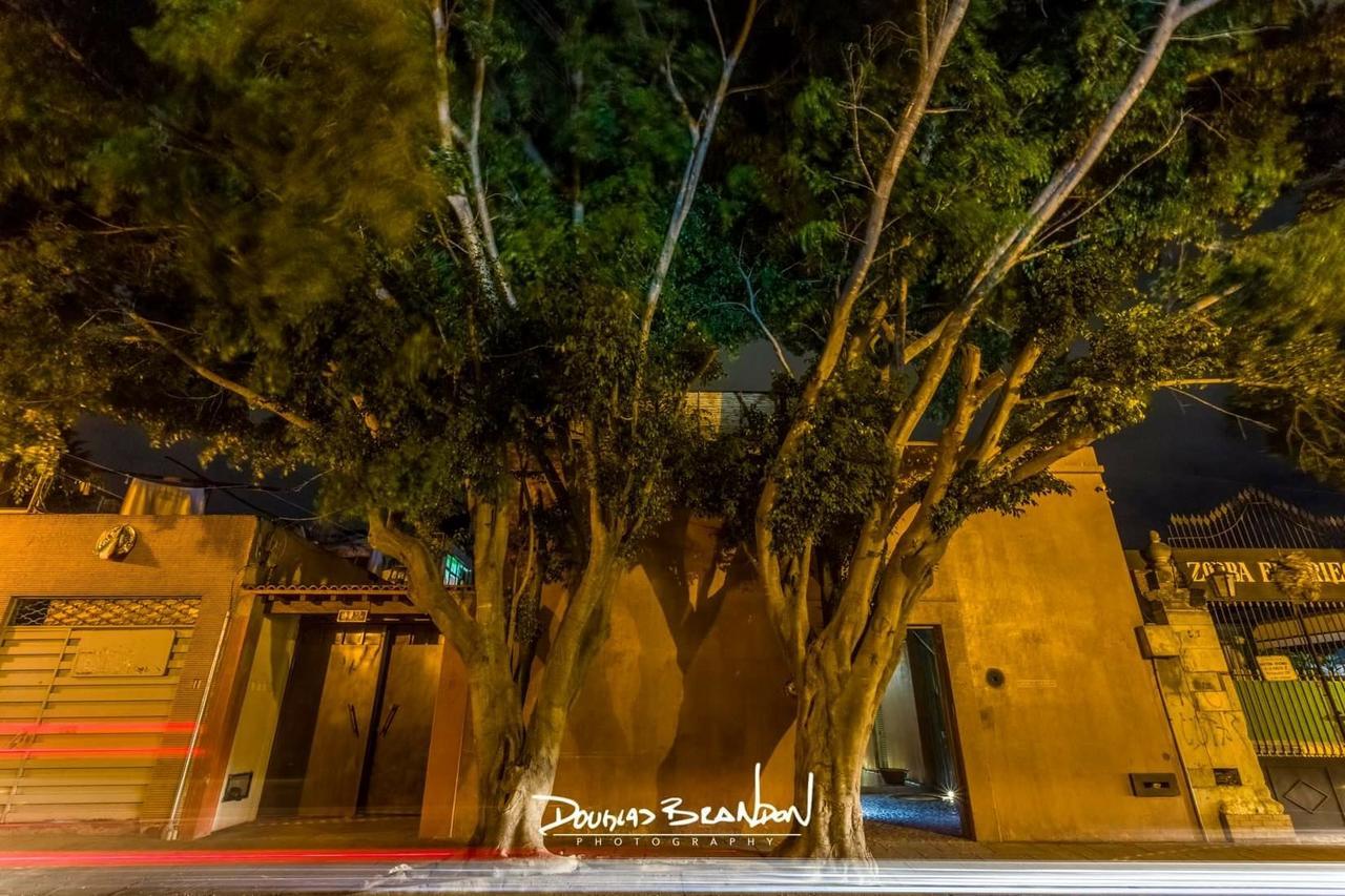 Отель Casa Carmen Reforma Oaxaca Экстерьер фото